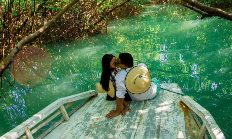 Passeio guiado pelo Rio Aracatiaçu