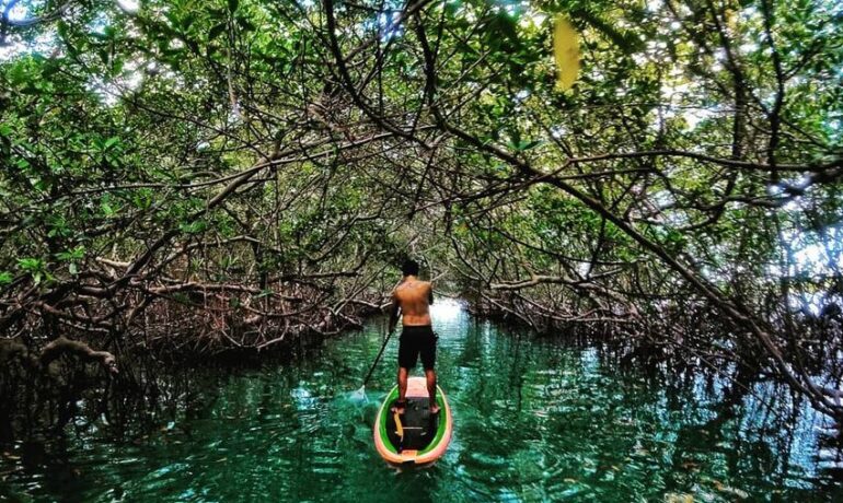 Stand-Up Paddle em Icaraí de Amontada
