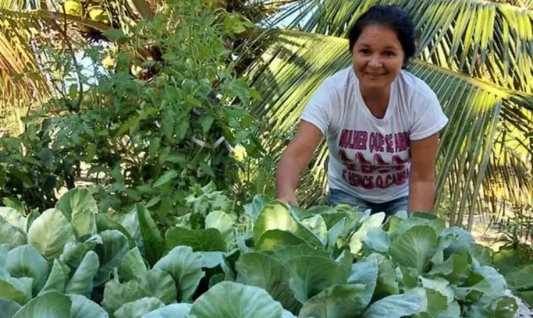 Lanche da tarde agroecológico